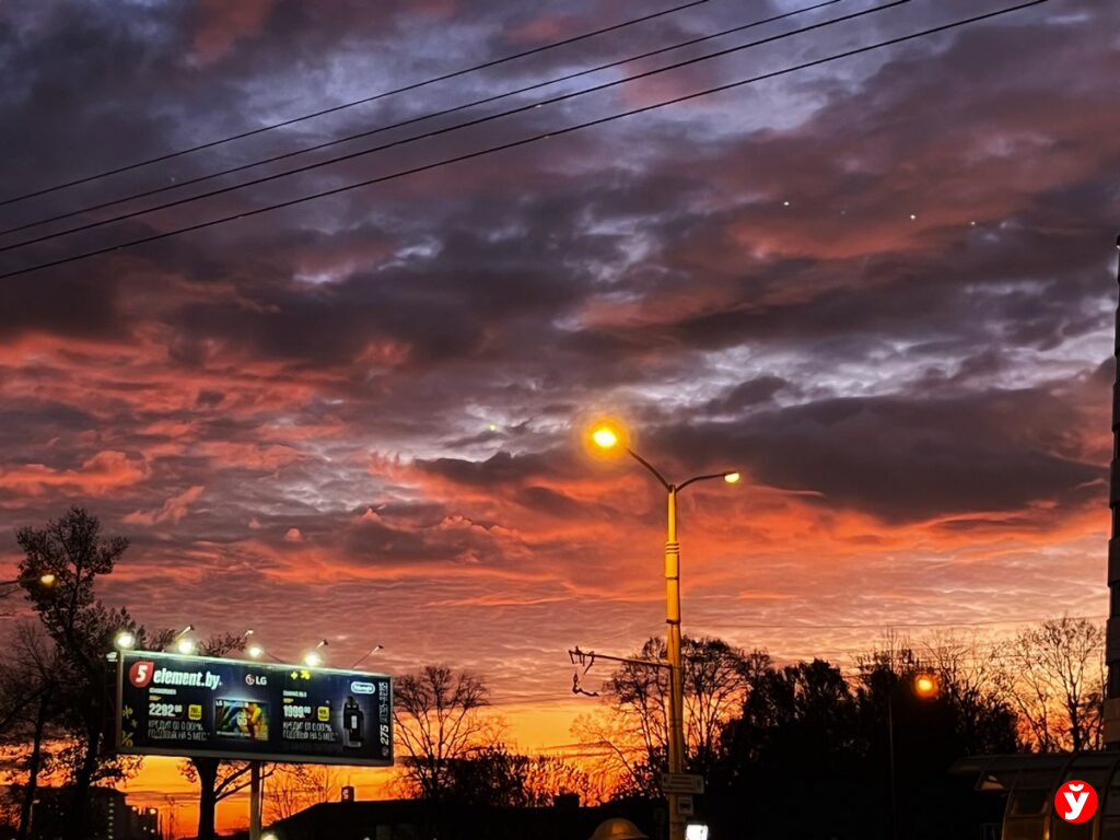 Оранжевый уровень опасности: туман накроет Беларусь 11 ноября