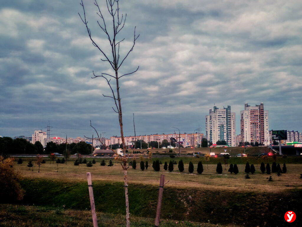 Кто может стать председателем товарищества собственников — ответил адвокат