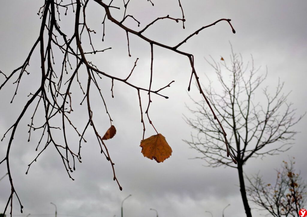 Беларусь 7 ноября окутает туман