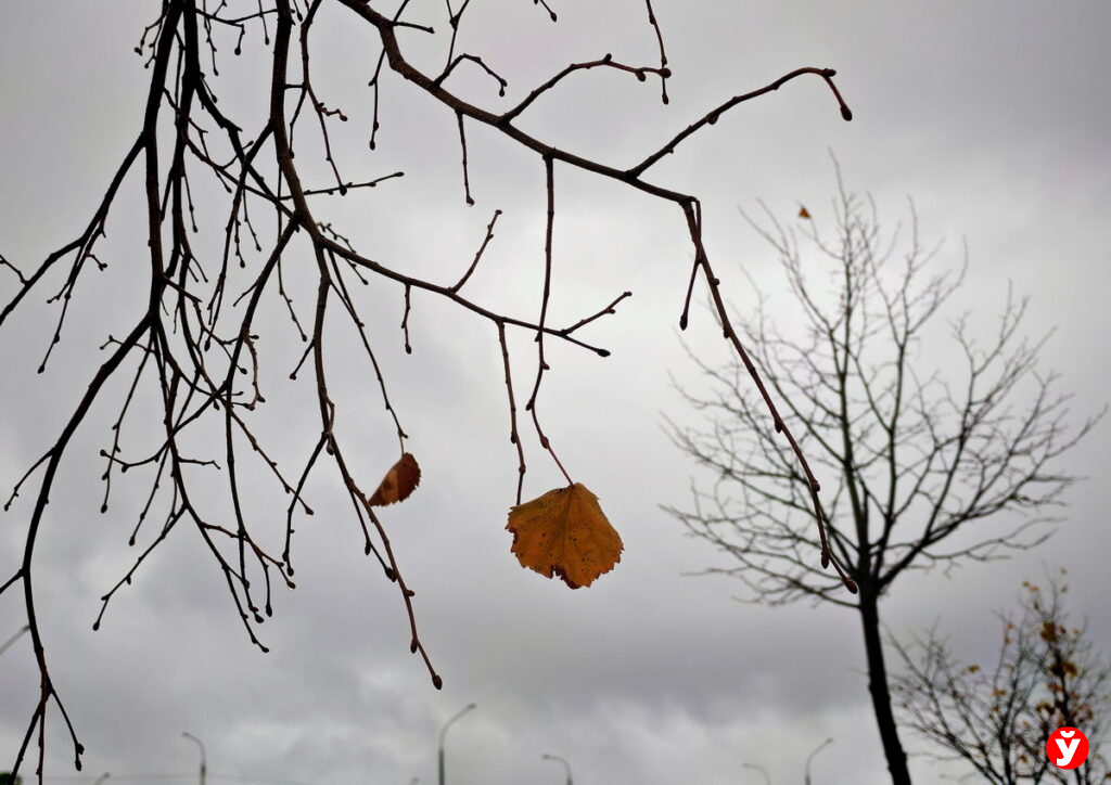 Ночные заморозки и дневное тепло до +12: какую погоду ждать 6 ноября