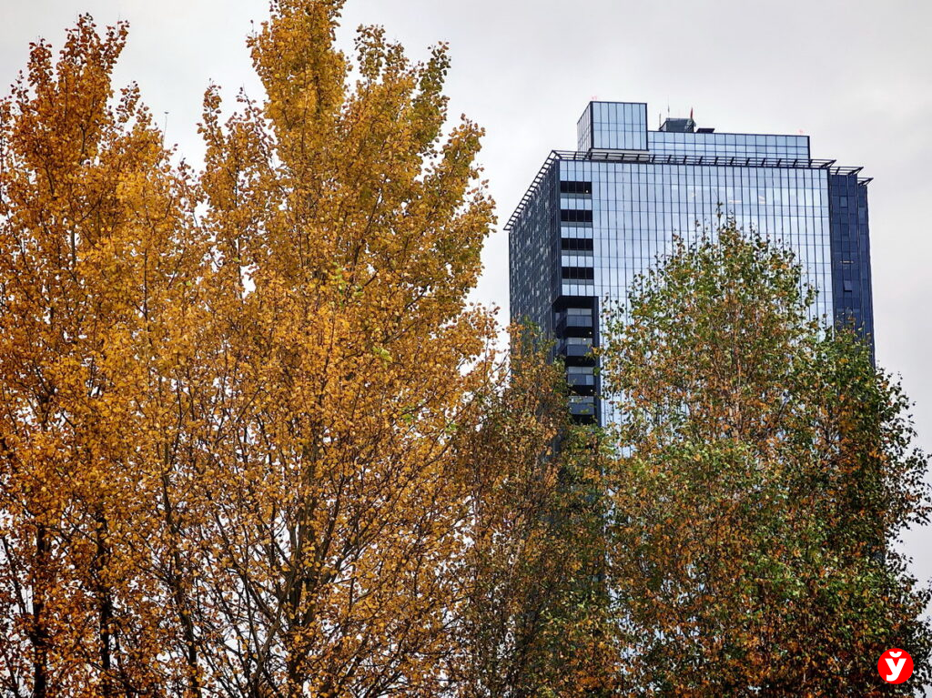 Ночь со снегом и дождём: прогноз погоды на 18 ноября