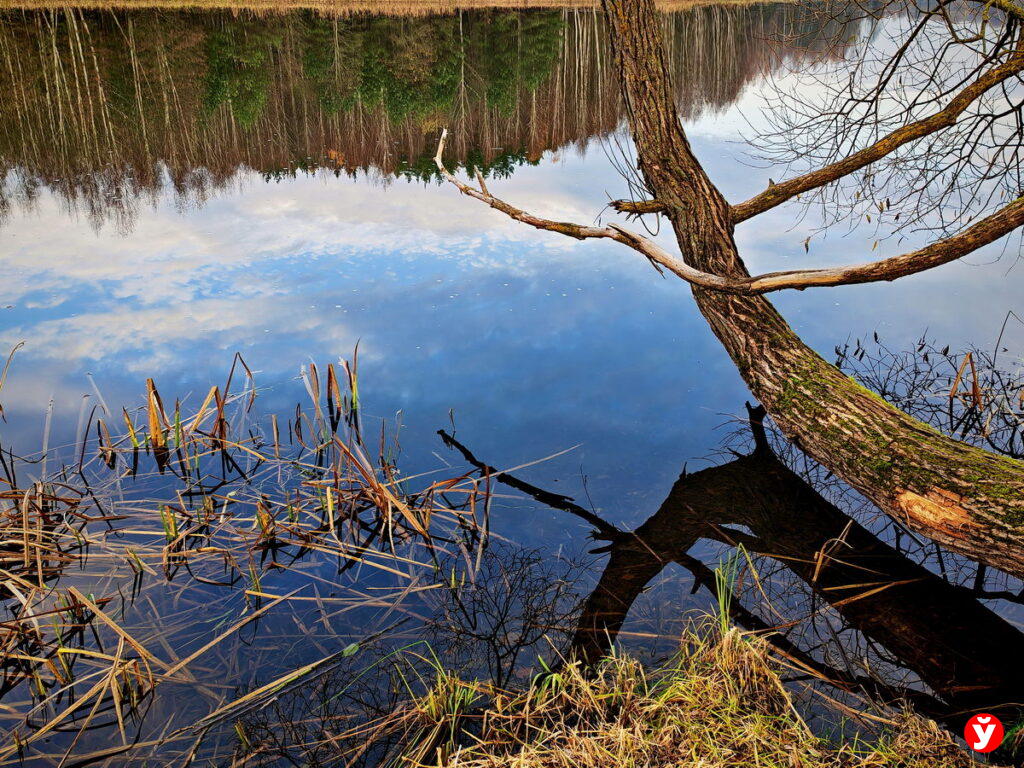 На малых реках Беларуси может появиться первый лед — и вот когда