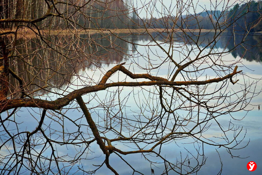 На Минщине заметили первый снег