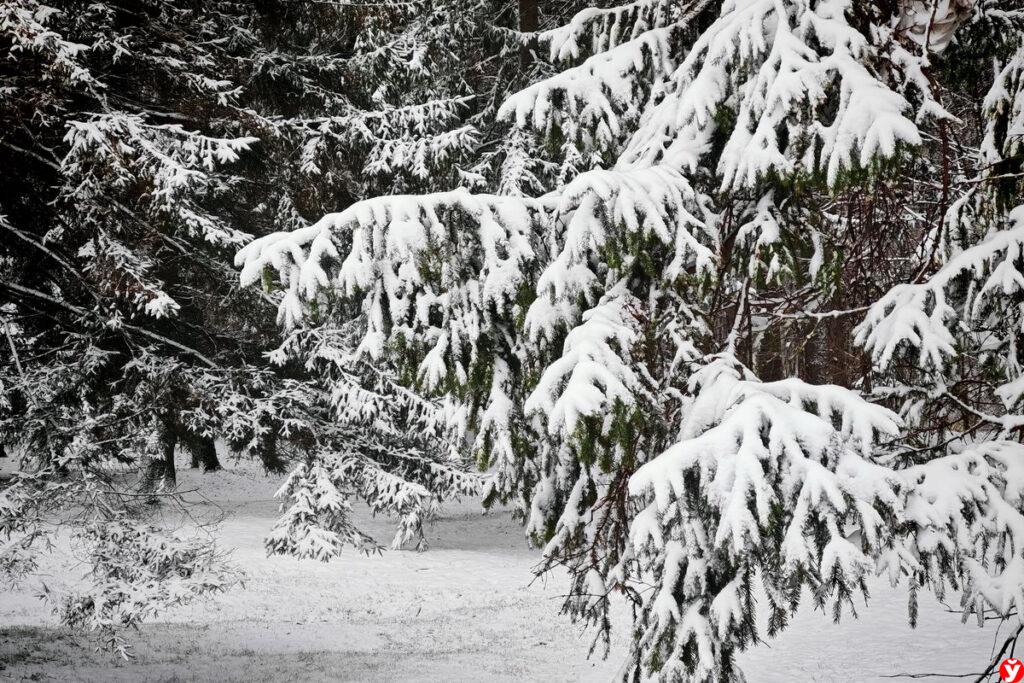 Прогноз погоды на 27 ноября. В отдельных районах республики ожидается туман