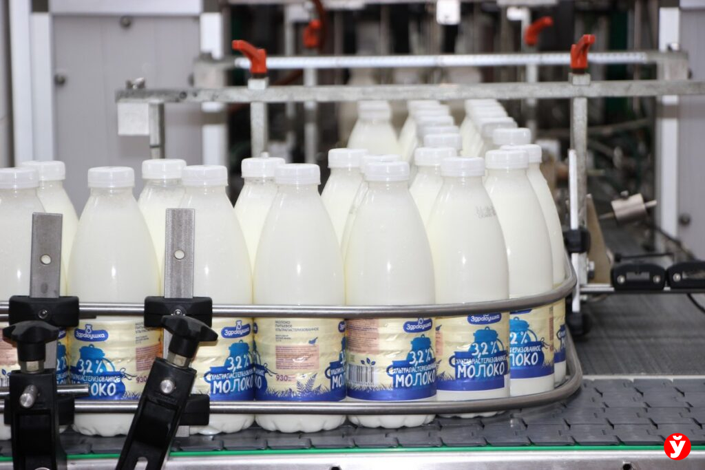 От Минщины до Мексики: как борисовское молоко завоевывает мир