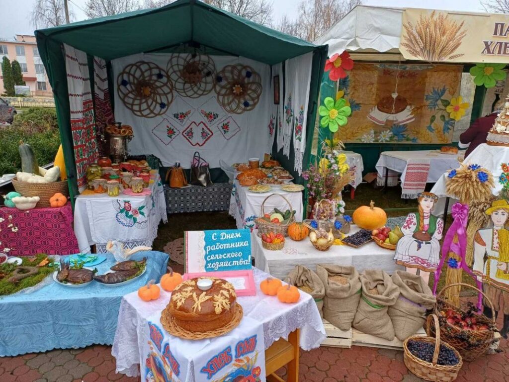 Элитные семена, молочное производство и спокойный климат: как развивается хозяйство у озера Нарочь