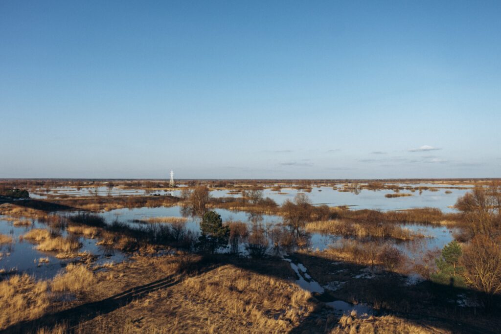 Новый автомобильный мост через Припять свяжет два района Беларуси