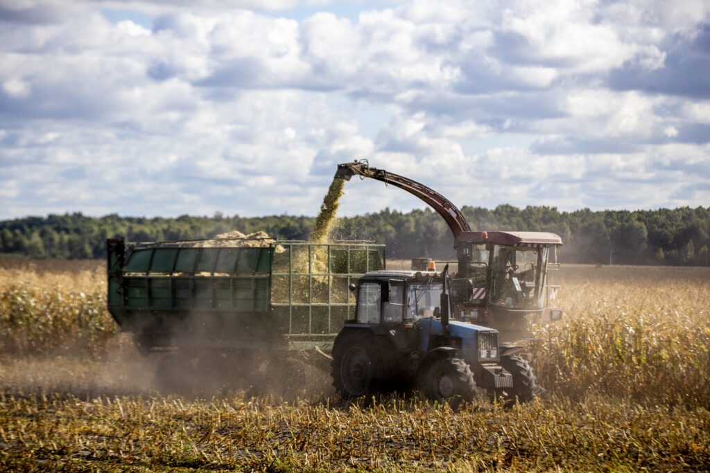 Что помогает белорусам держать планку в сельском хозяйстве? Реальный опыт хозяйства Брестчины