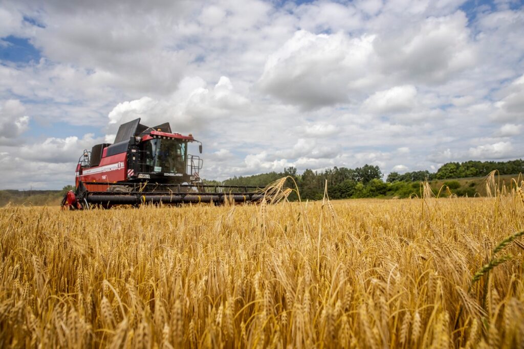 Урожай, технологии и люди: как работают современные филиалы Слуцкого сыродельного комбината