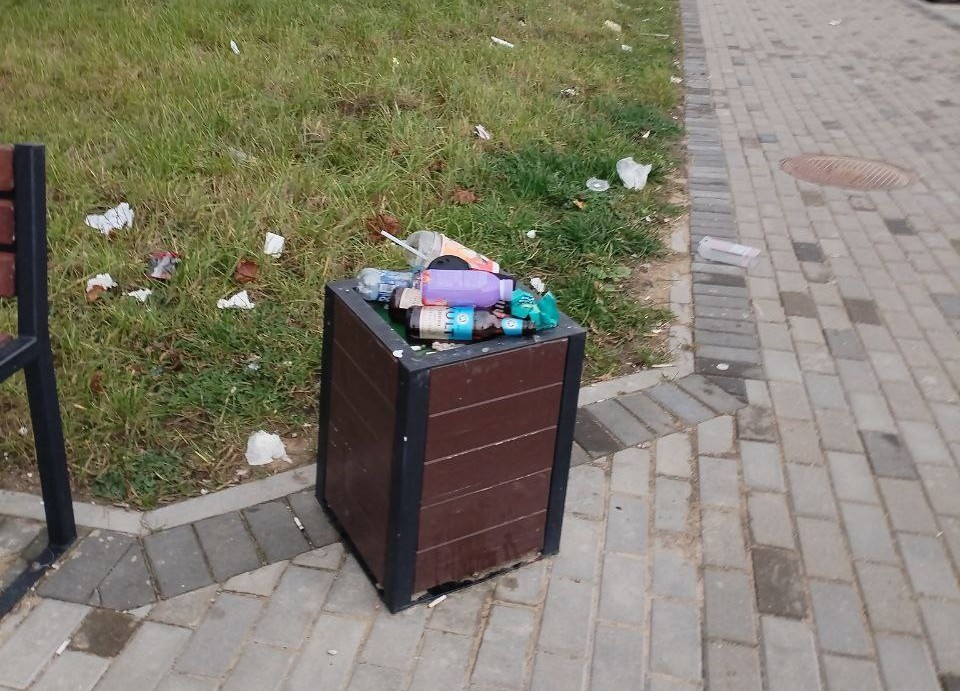 Новостройки в борисовском микрорайоне Лядище-2 утопают в мусоре — кто виноват