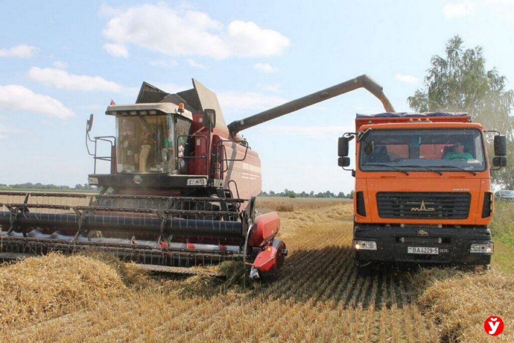 Лукашенко оценил вклад аграриев в экспортный потенциал страны