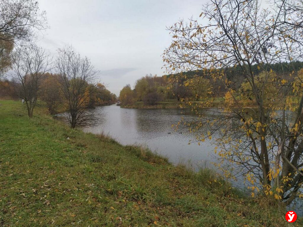 Облачная погода с дождями и туманом прогнозируется 3 ноября