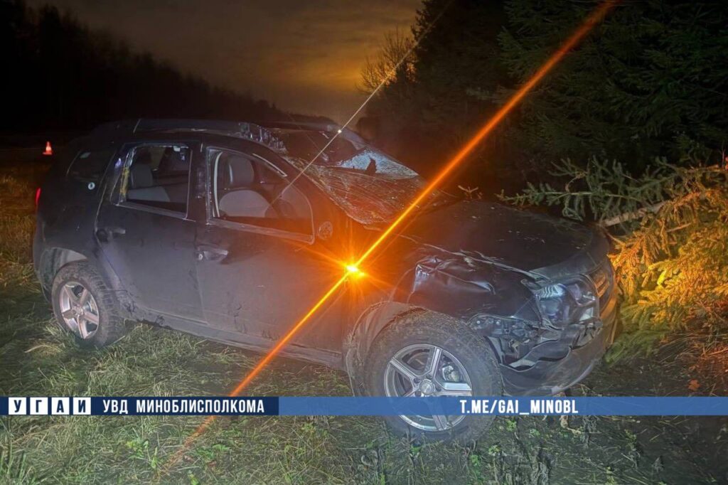 Два человека в больнице после столкновения с лосем в Минском районе