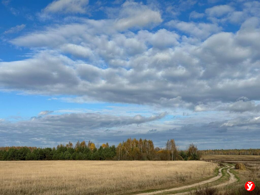 Туманное утро и тёплый день: какой будет погода в Беларуси 5 ноября