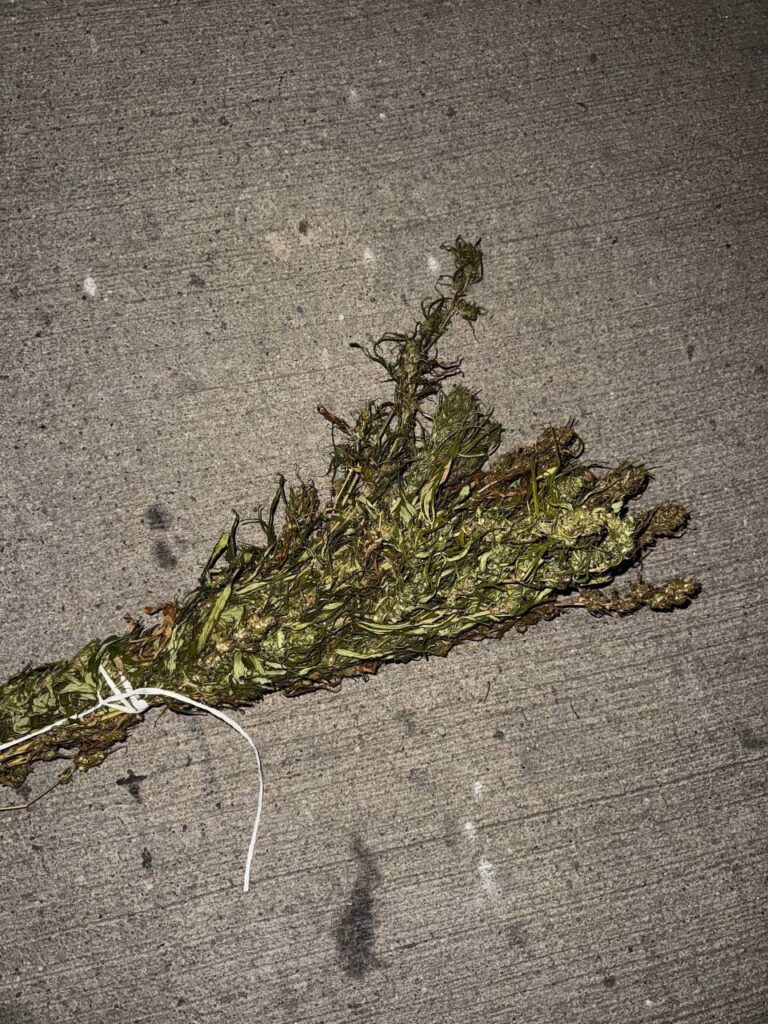 Под Борисовом мужчина во время погони пытался выбросить из машины мешок с марихуаной