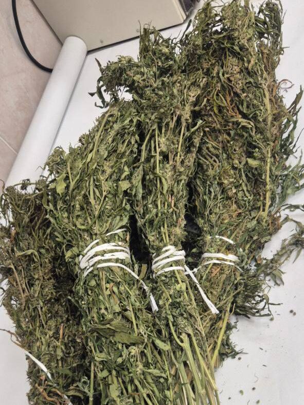 Под Борисовом мужчина во время погони пытался выбросить из машины мешок с марихуаной