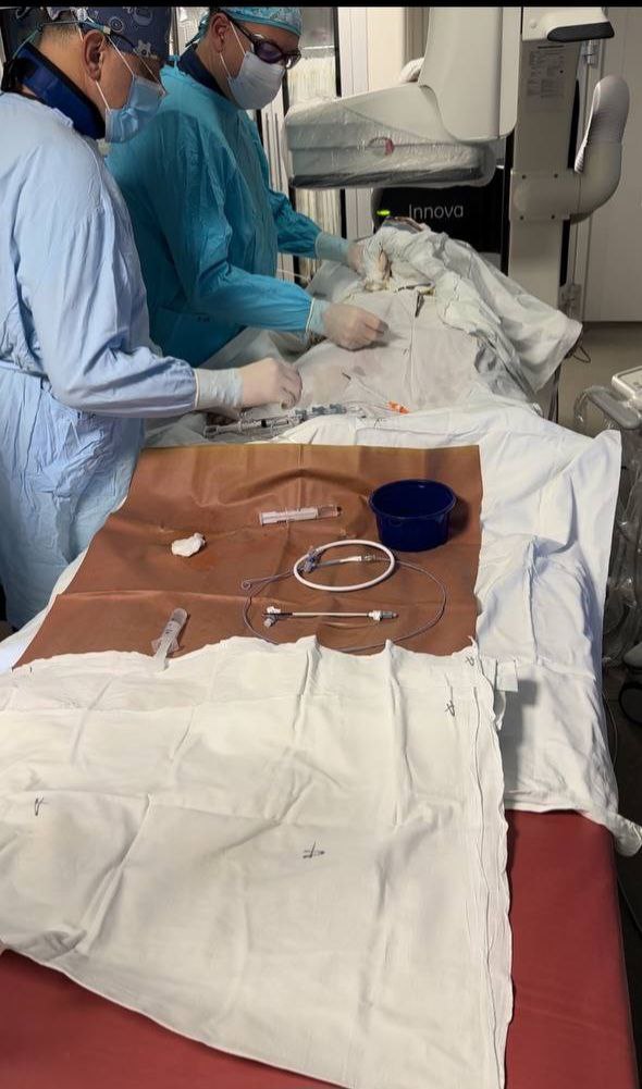 Операция Гомель