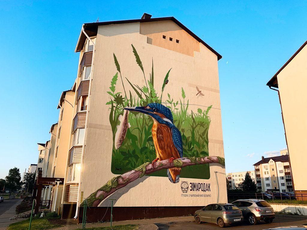 Более 1,1 млн рублей: столько выделил Миноблисполком на создание муралов в регионе