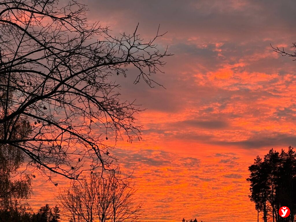 Туман над Беларусью 8 ноября: видимость ухудшится до 100-500 м