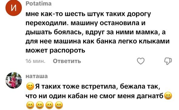 комментарий