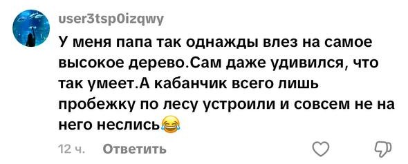 комментарий