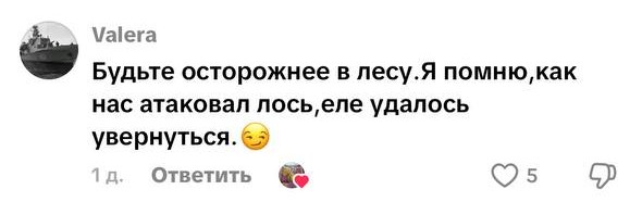 комментарий