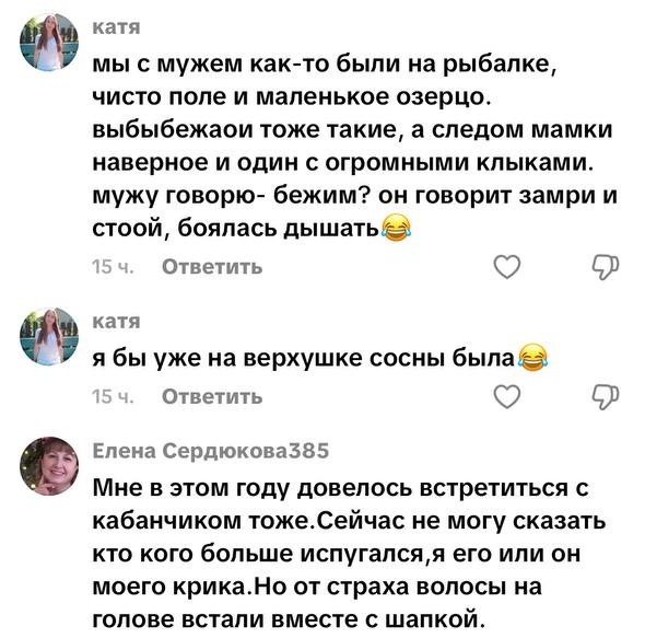 комментарий