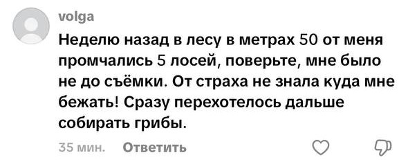 комментарий