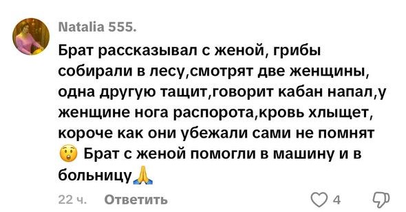 комментарий