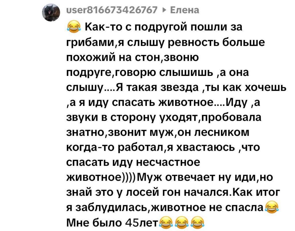 комментарий