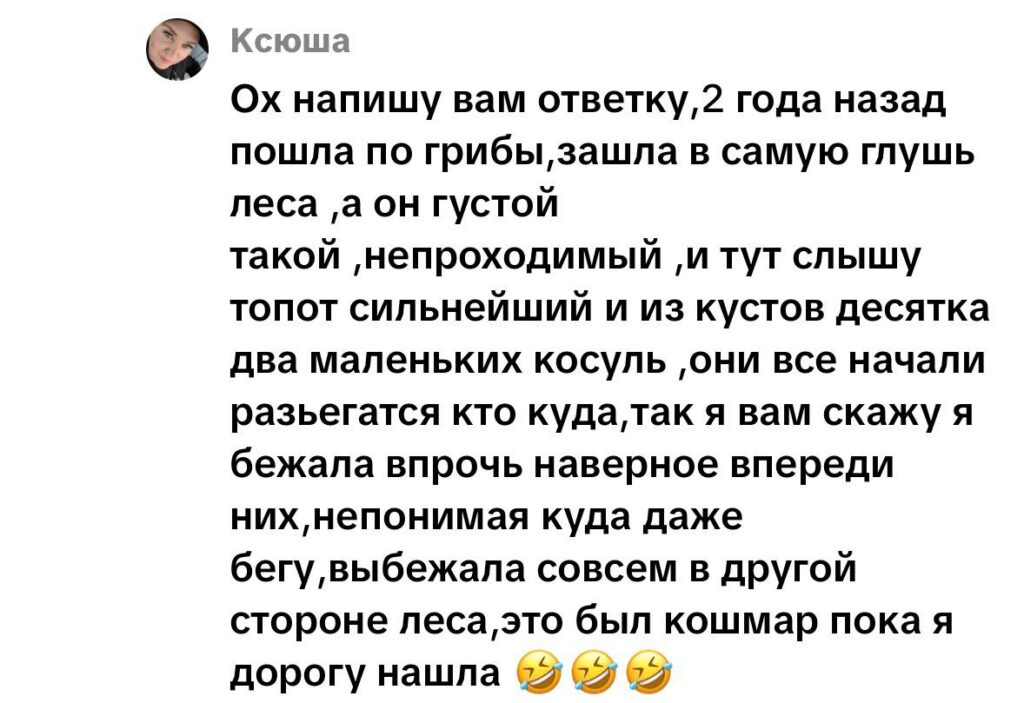 комментарий