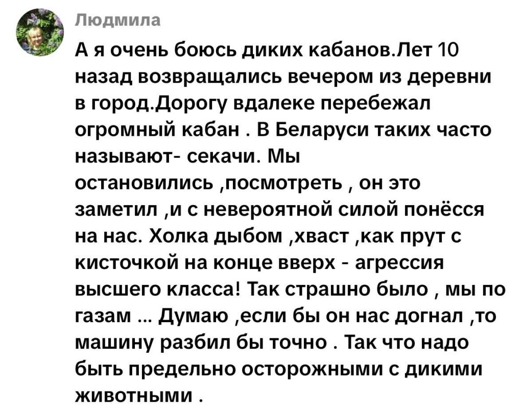 комментарий