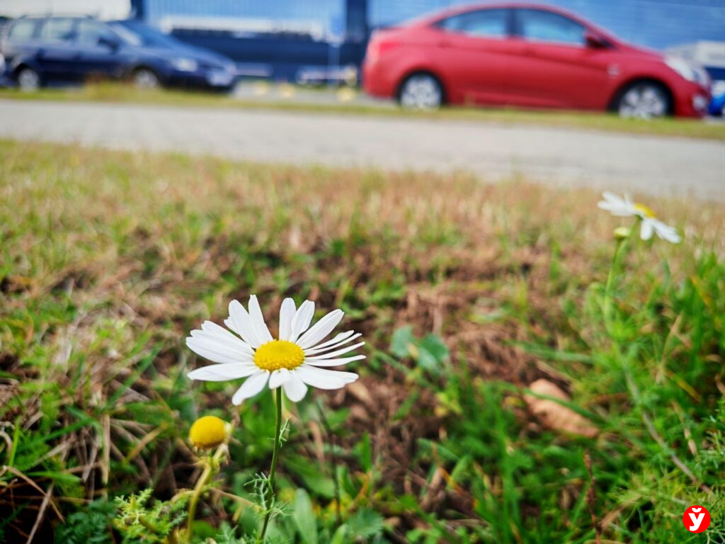 Облачный день без осадков ожидается в Беларуси 9 ноября