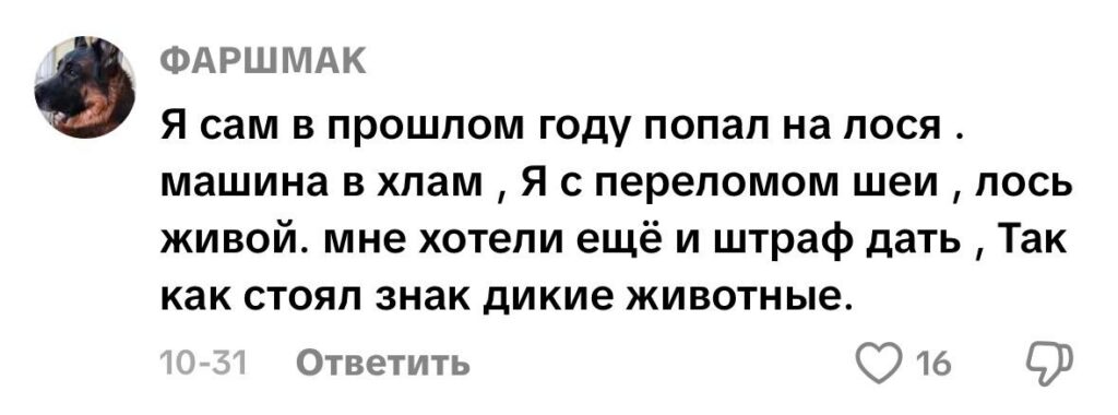 комментарий