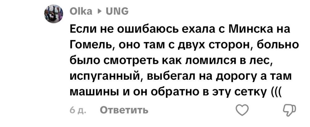 комментарий