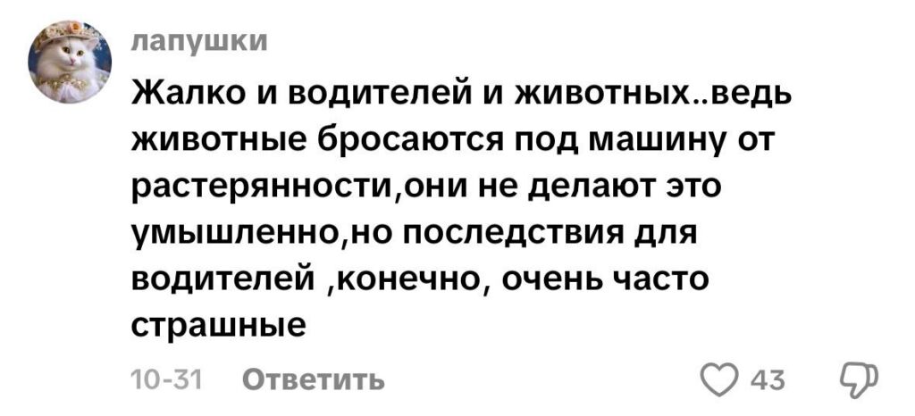 комментарий