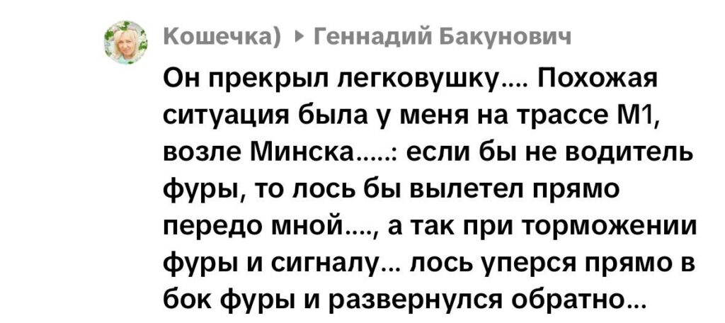 комментарий