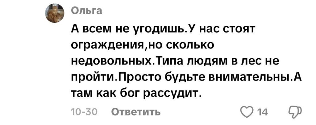 комментарий