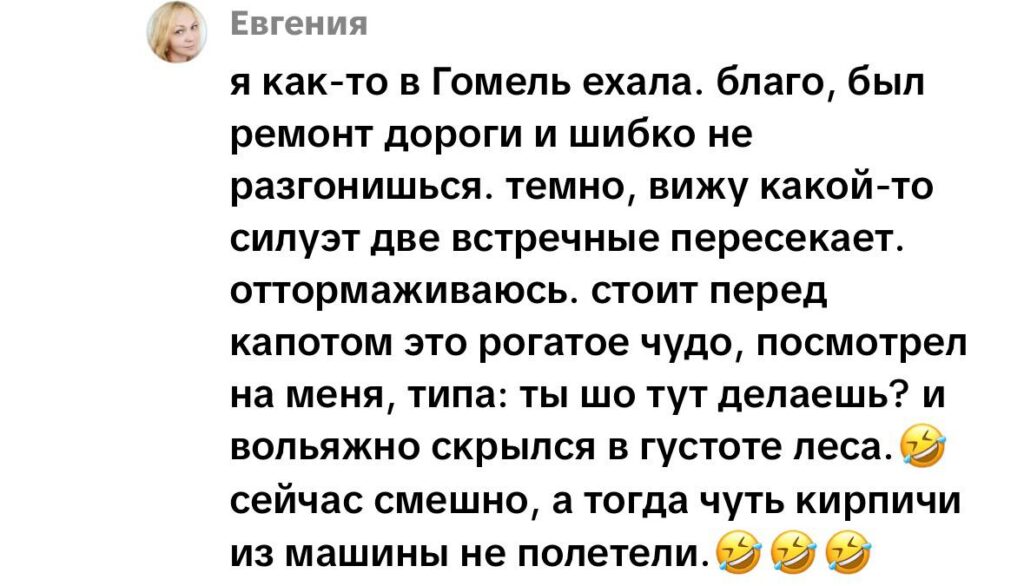 комментарий