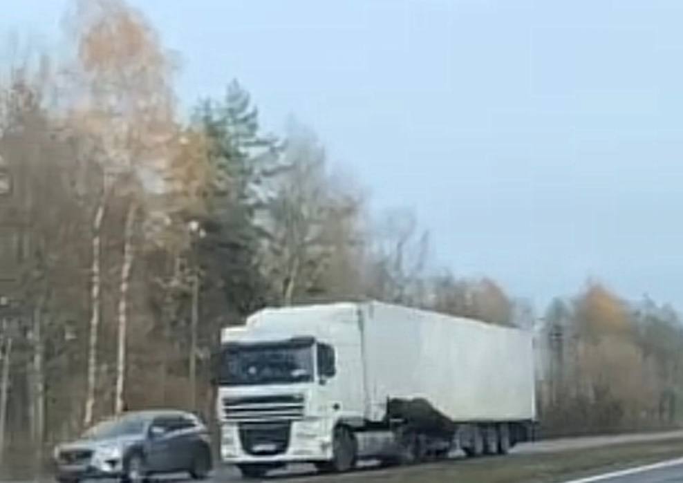 Ангел-хранитель на М1: водитель фуры прикрыл легковушку от нападения лося