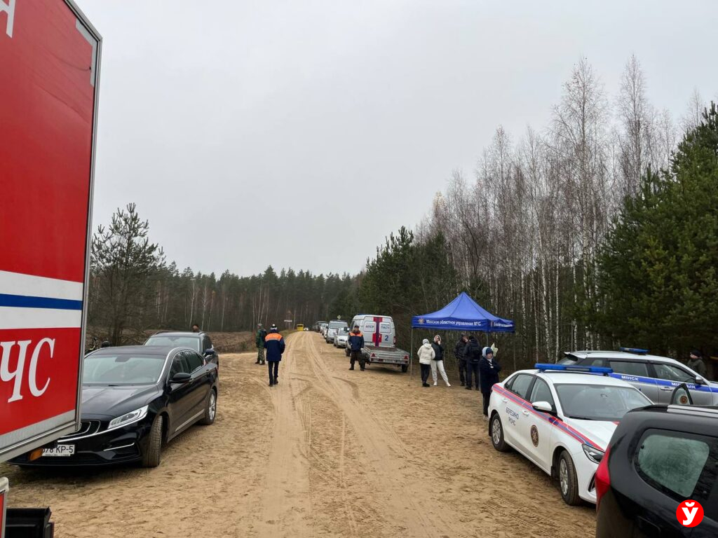 Березино пропал мальчик