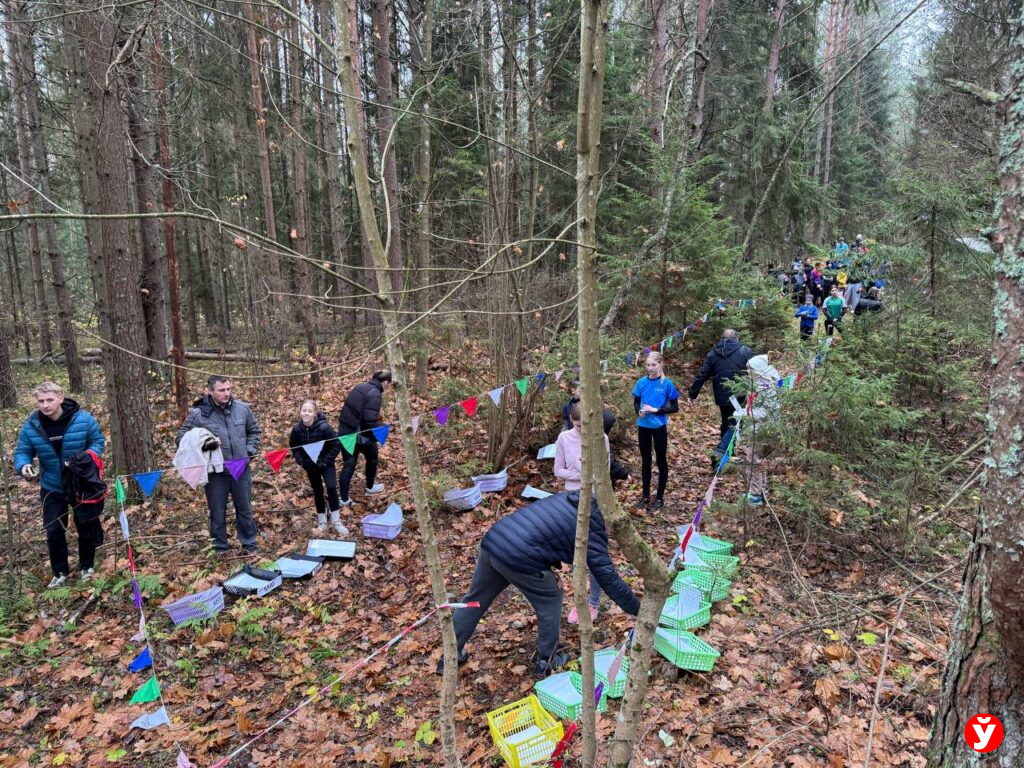 «Berezino Cup-2025»: как лес, карты и азарт объединили 200 друзей всех возрастов