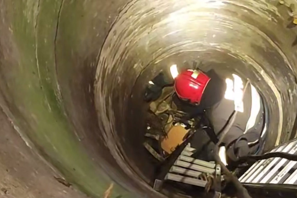 Котенка спасли из заброшенного колодца в Копыльском районе