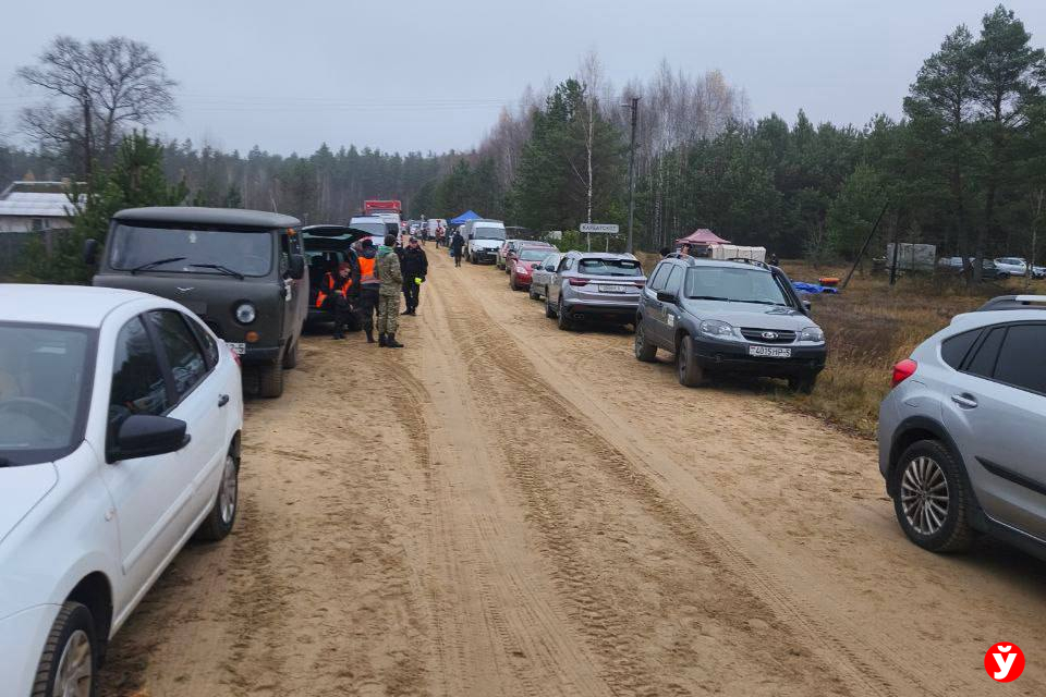 «Мы всегда надеемся найти пропавших живыми». Эксклюзив от поисковиков в Березинском районе