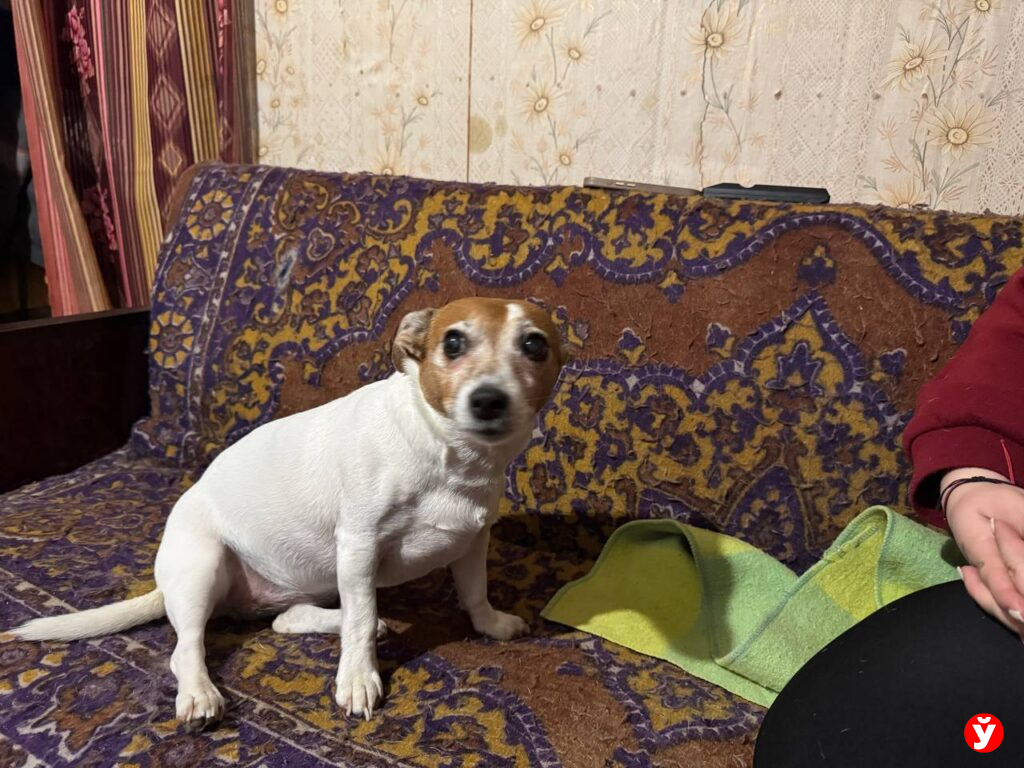 Поиски Максима