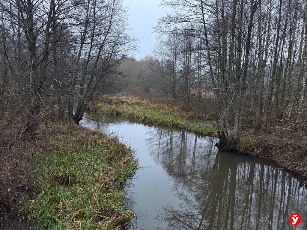 Поиски Максима