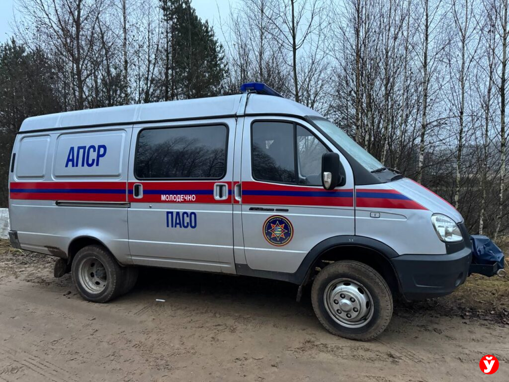 Поиски Максима