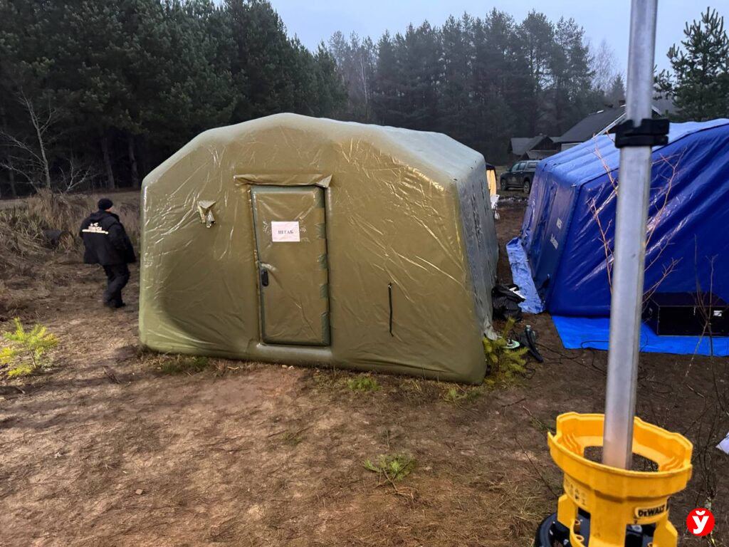 Поиски Максима