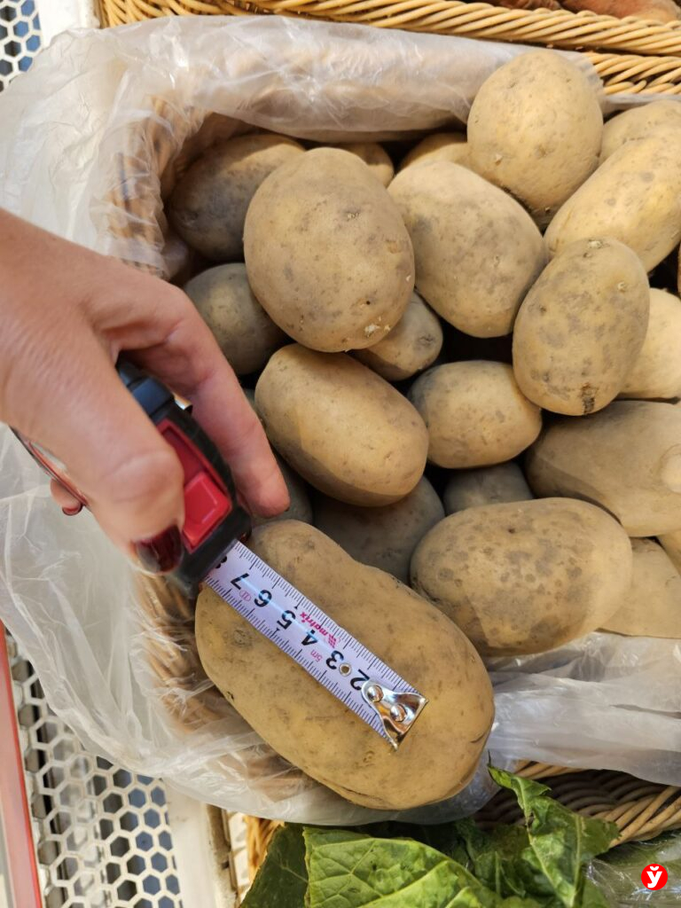 Картошка Борисов