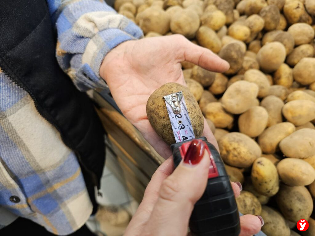 Картошка Борисов